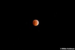 Red Moon Eclipse 100714 1267
