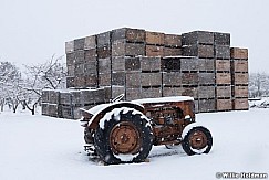 Tractor Snow Orchard 122515 1415