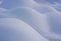 Bumps in fresh snow 122515 3