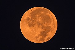 Full Moon Close Up 090617