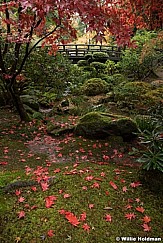 Japanese Garden 102716 7350