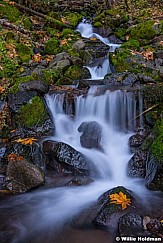 Waterfall Lolo Pass Oregon 110714 8194 3
