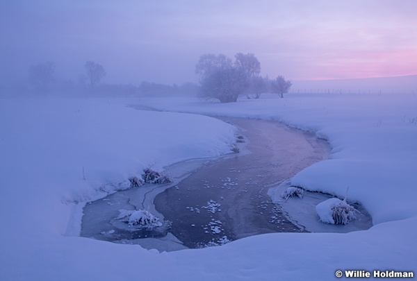 Frozen creek Sunrise 021219 7480