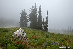 Lone Peak Wilderness 9905