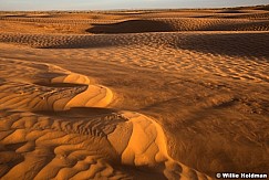 Sand Dune Wind Light 120317 9071