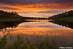 Sunset pond 061217