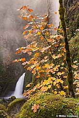 Wahclella Waterfall Autumn 070414 6597F