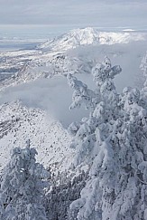 Frosty Pines Snowbasin 011217 0383