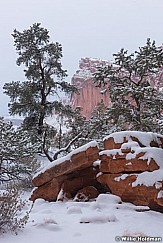 Red Rock Snow 012023 2331