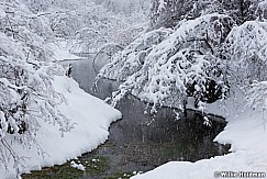 South Fork Winter Stream 122115 2