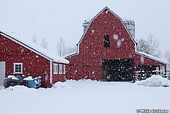 Red barn snowing 137