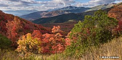 Wasatch State Park Reds 091516
