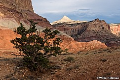 Capitol Reef Scattered Light 072922 6475