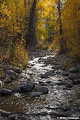 Lake Creek Autumn 100820 5383