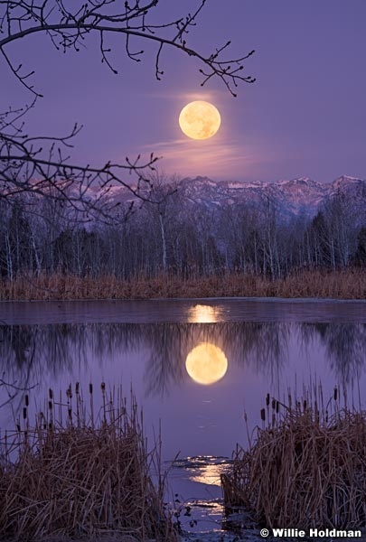 Full Moon Reflection 111219 5