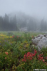 Lone Peak Wilderness 9916