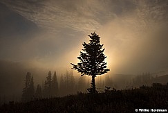 Lone Pine Mist 082945 7182