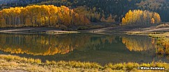Autumn Aspen Reflection 100420 363pan