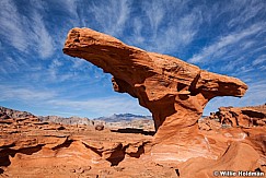 Nevada Rock Formations 011313 162