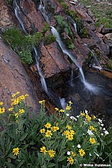 Tripple Waterfall Wildflowers 082419 44158 2