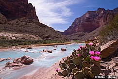 Little Colorado Grand Canyon 040915 4738