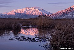 Utah Lake Timpanogos Reflection 020514 7651