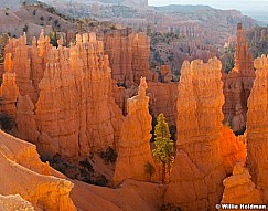 Bryce Canyon Superglow 6x7091612