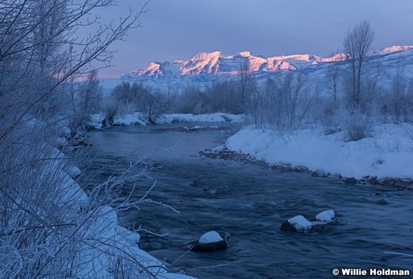 Provo River In Winter 021823 3826