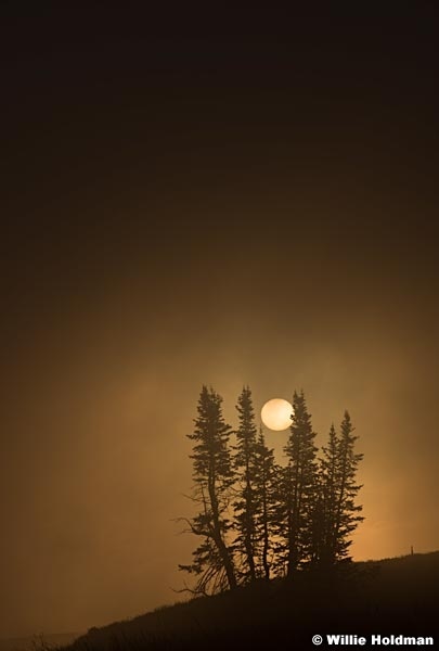 Lone Pines Mist 082615 7098