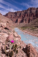 Little Colorado Grand Canyon 040915 4823