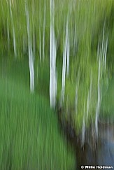 Green Aspen Abstracts 062010-0638