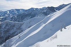 Fresh Snow Sundance 010723 2