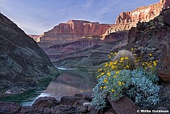 Grand Canyon Colorado F041105