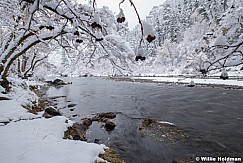 Fresh Snow Provo River 110920 1208 5