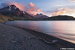 Patagonia Lago Pehoe 031516 7591