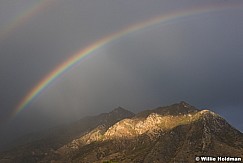 Vivid-Rainbow-100215-3