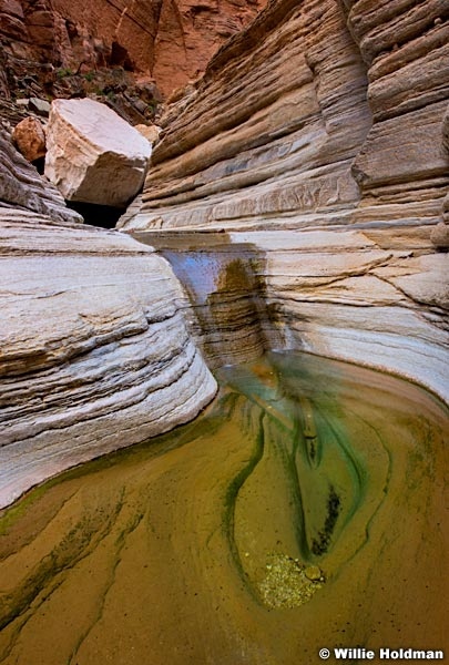 Teardrop Waterhole Grand Canyon 042517 7708