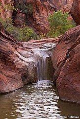 Red Canyon Waterfall 041519 3397