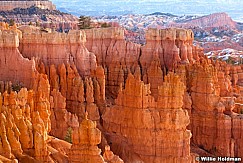 Bryce Canyon hoodoos 032012 67