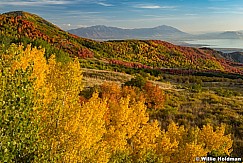 Grove Creek Utah County Autumn 100822 1905