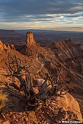 Canyonalnds sunset buttes 032217 0815