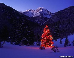 TheChristmastree