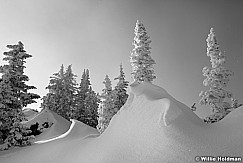 Wasatch Snow Waves 122618 1405 2BW