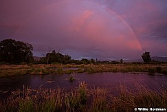 Provo River Rainbow 073112 485