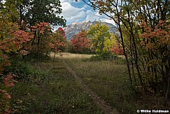 Autumn Trails Timp 092822 9029