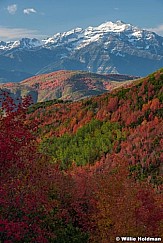Cascade Mountain Red Maples 092917 6263
