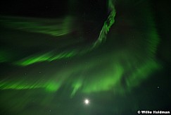 Northen Lights Iceland