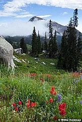 Lone Peak Wilderness 0043