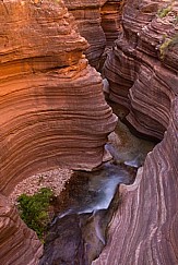 Deer Creek Grand Canyon 041115 5923