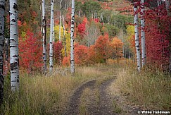 Autumn Sundance Path 092016 3